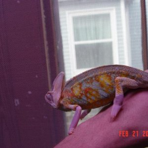 Pretty boy.