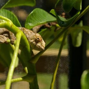 Babies outside.