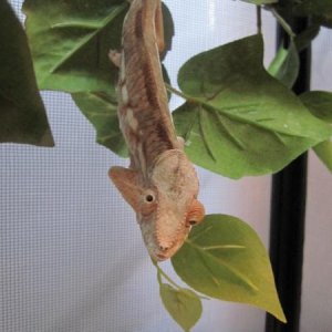 Ury the first day I got her.
