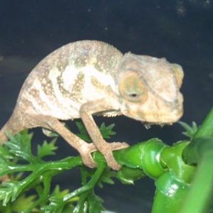 2012 03 01 10 34 47 754