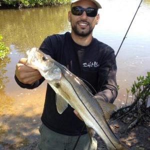 Small naples snook