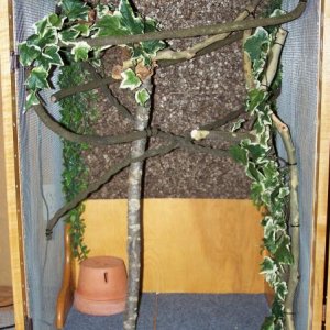 Vines, natural branches & cage carpet.