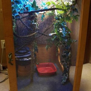 Front view of cage.