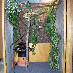 Waterfall, vines, natural branches & cage carpet.