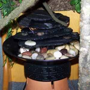 Water Fountain