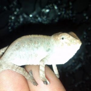 2012 03 06 17 58 44 576