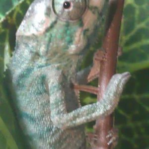 IMAG0597
