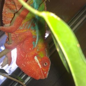 IMAG0679