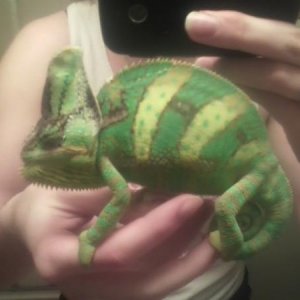 Turning into such a big, sweet guy!