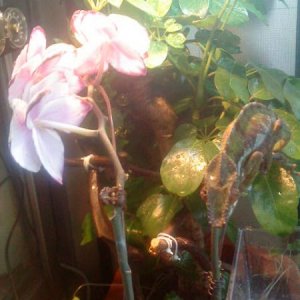 DSC01550