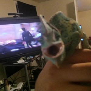 431141 3177966761422 1033203491 3148663 202615058 n