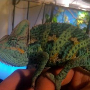 428979 3177963001328 1033203491 3148659 638830849 n