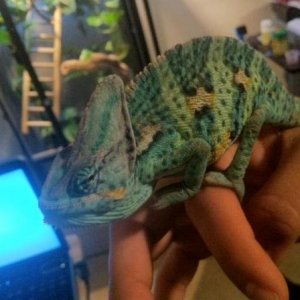 426418 3177963921351 1033203491 3148660 1939774607 n