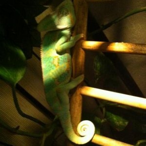 426205 3178005522391 1033203491 3148673 525362740 n