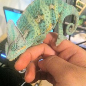 425764 3177972001553 1033203491 3148665 1811147340 n