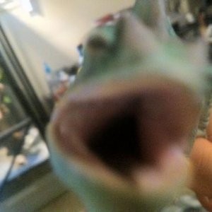 422596 3177965921401 1033203491 3148662 1120413194 n