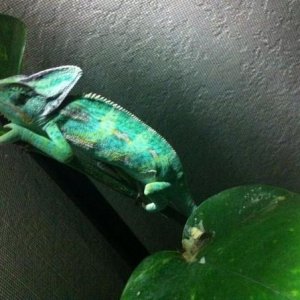 395447 2720455123917 1033203491 2949261 2053714693 n