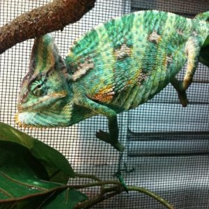 388535 2755809047743 1033203491 2970495 1513785328 n