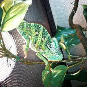 391078 2755807727710 1033203491 2970494 1526129026 n