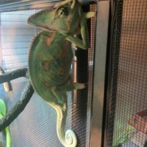 379043 2755803607607 1033203491 2970491 552350456 n