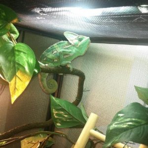 378868 2755806807687 1033203491 2970493 358094232 n