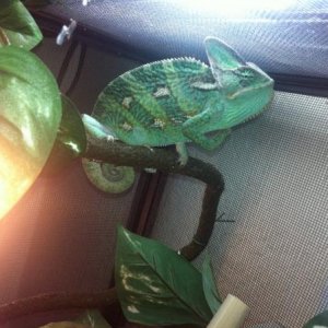 376052 2755805607657 1033203491 2970492 1448617902 n