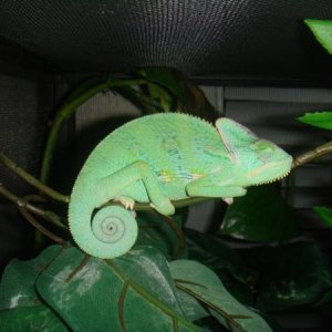 317845 2381361566790 1033203491 2769730 226709971 n