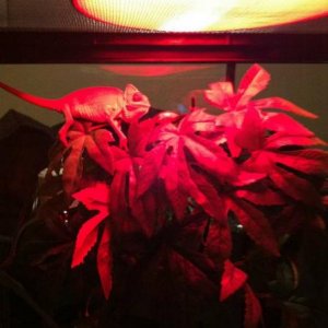 317241 2349165921919 1033203491 2742904 1454388797 n