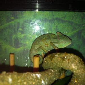 316448 2368106195414 1033203491 2757950 163641911 n