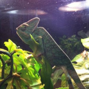 314756 2349166401931 1033203491 2742907 360715187 n