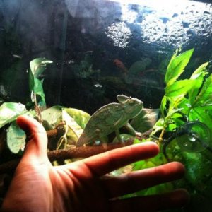 314696 2352083394854 1033203491 2745386 576890415 n