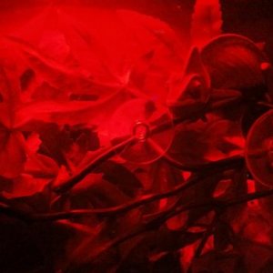 314418 2355697525205 1033203491 2747603 916640048 n