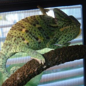 312955 2381360326759 1033203491 2769726 174752781 n