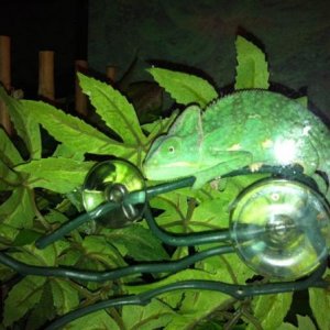 312722 2355696965191 1033203491 2747602 1727740670 n