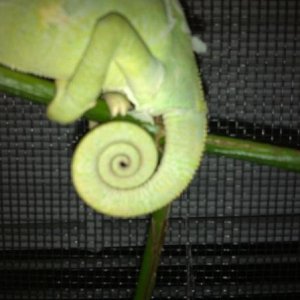 308614 2368106795429 1033203491 2757951 517302347 n