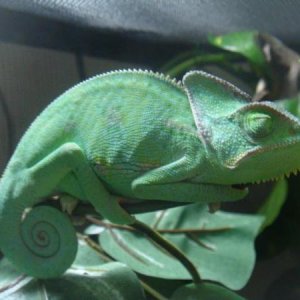 303125 2381361926799 1033203491 2769732 1306703039 n