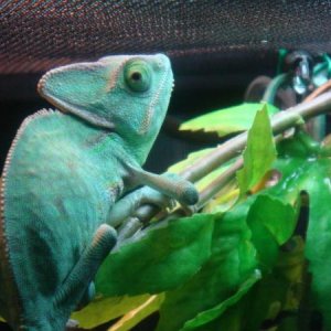 301091 2381360126754 1033203491 2769725 102931780 n