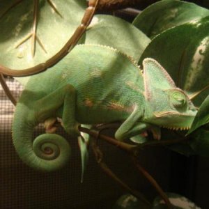 300762 2381360486763 1033203491 2769727 1347279631 n