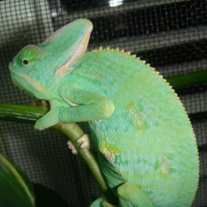 299693 2381359726744 1033203491 2769723 908043664 n