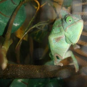 298084 2381361326784 1033203491 2769729 662069454 n