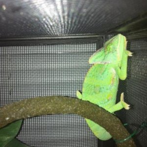 297647 2396909115469 1033203491 2782933 1620448960 n