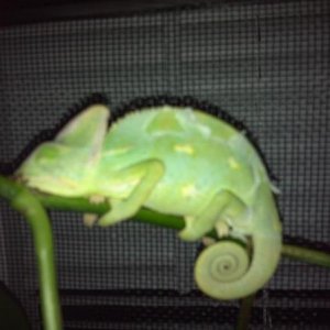 296620 2368107475446 1033203491 2757952 1003225050 n