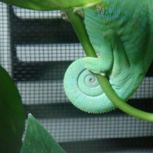 295761 2381359846747 1033203491 2769724 273423399 n