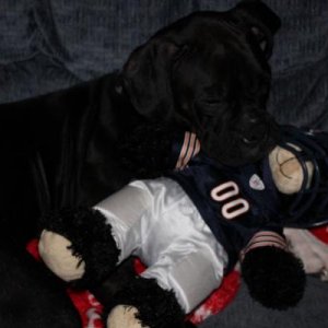 She's a bears fan.