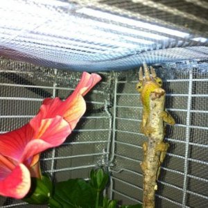 Hiding behind a HUGE branch!!