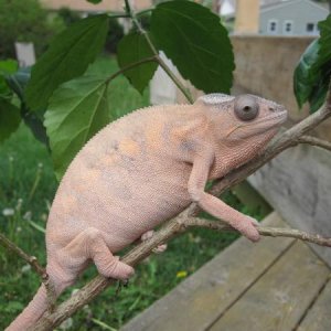 IMG 0506