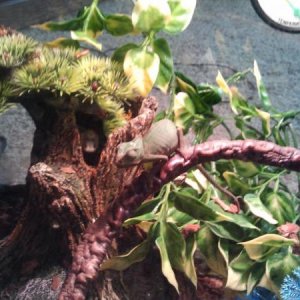 2012 04 the day i rescued her 4/4/12