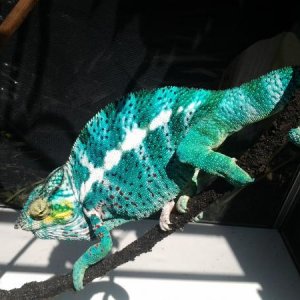 20120514 125800
