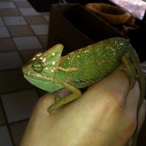 He has a water crown