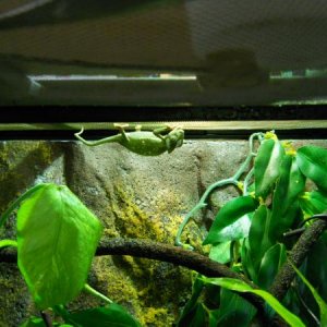 Prometheus liking his new light